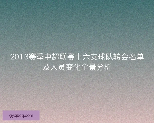 2013赛季中超联赛十六支球队转会名单及人员变化全景分析